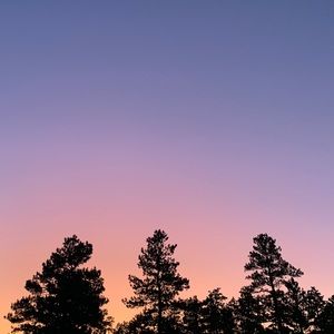 Meet your Posher, Meadow